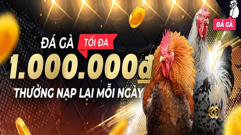 Các Lỗi Đăng Nhập MCW77 Thường Gặp Và Cách Khắc Phục
